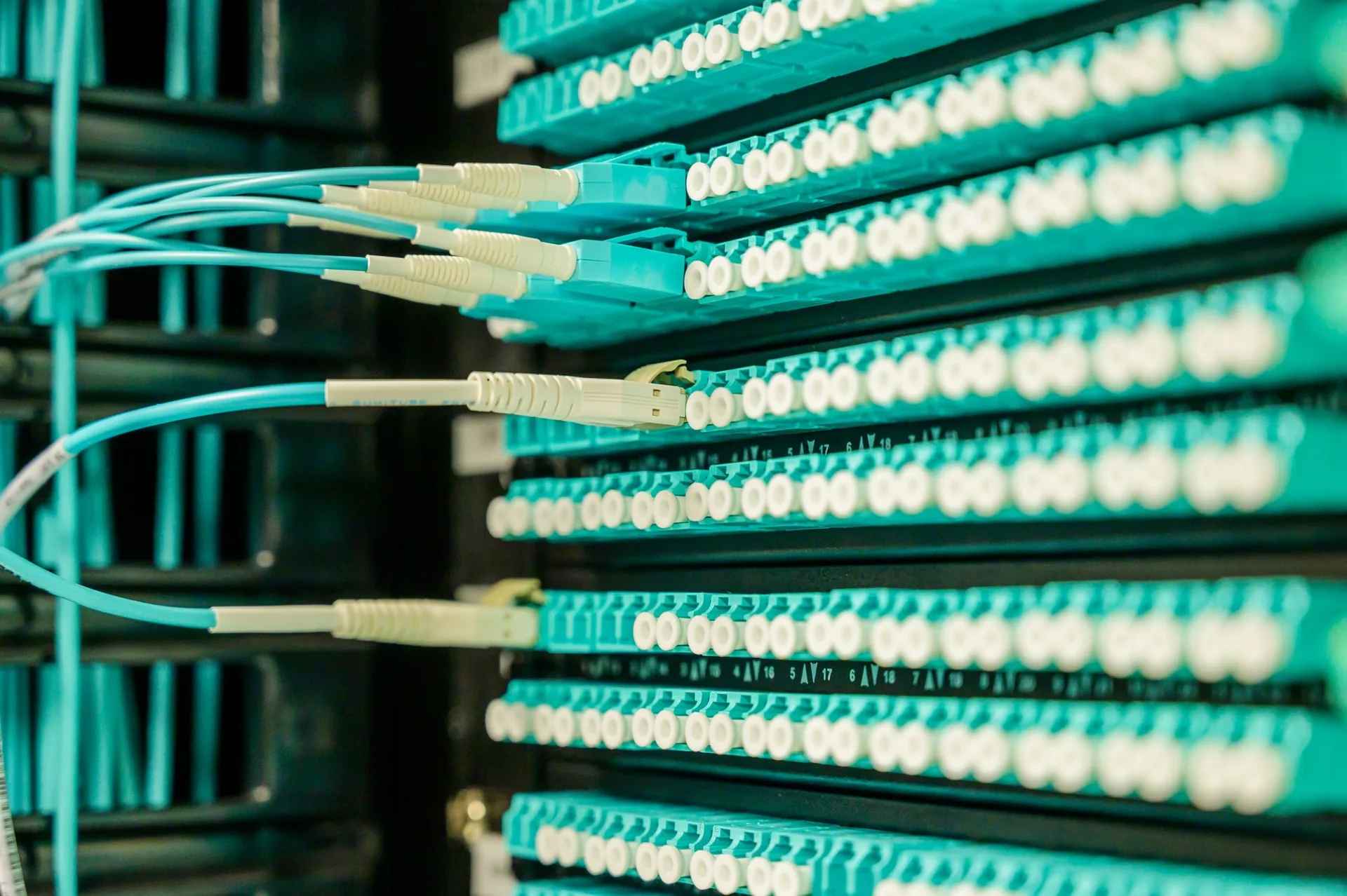 Cabluri de fibră optică conectate într-un patch panel