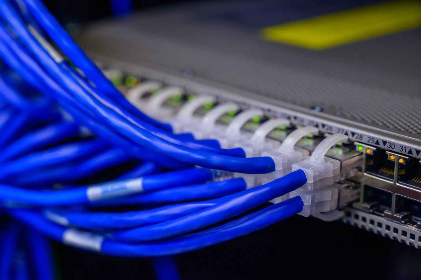 Cabluri Ethernet albastre conectate la un switch