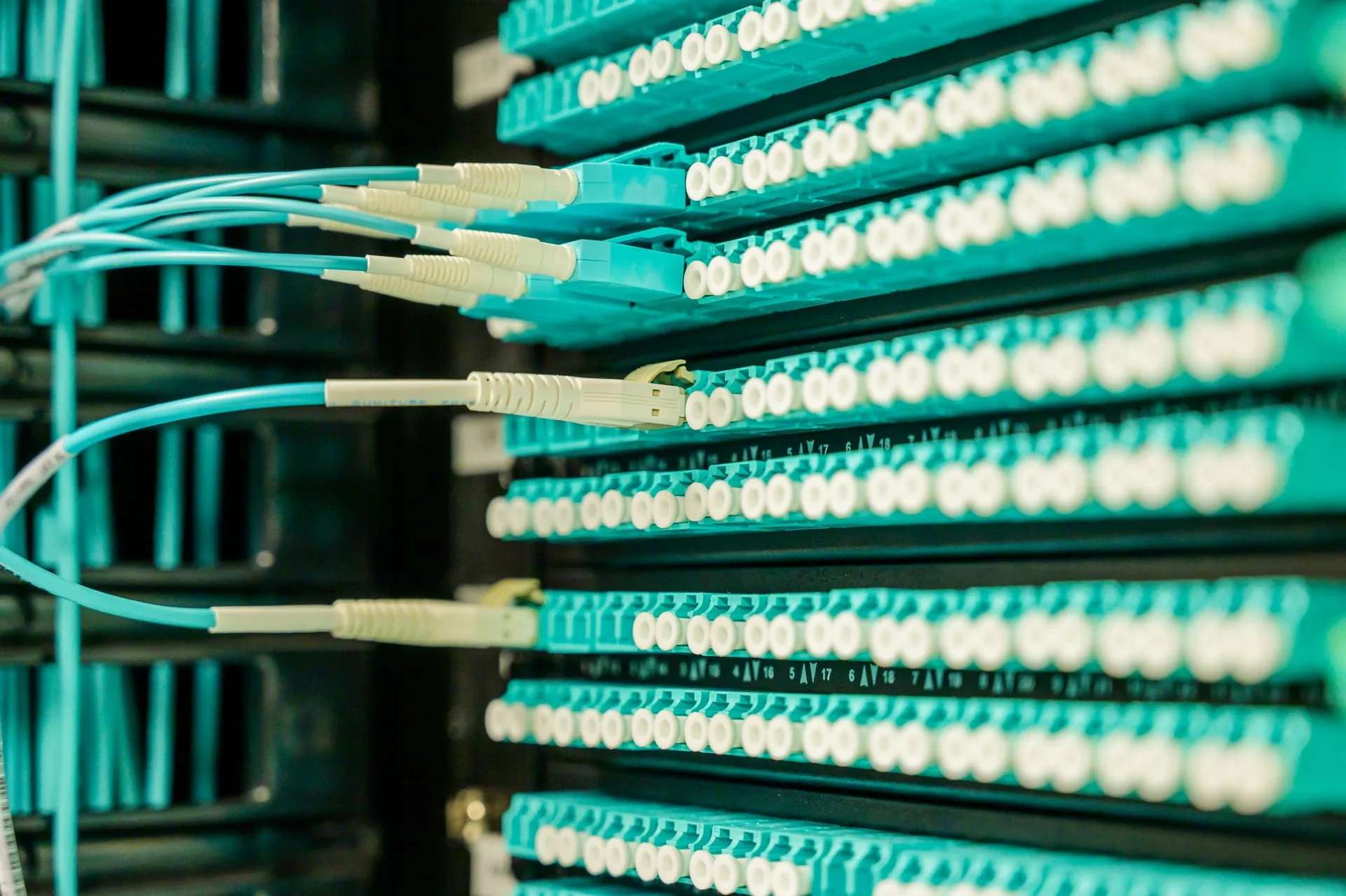Cabluri de fibră optică conectate într-un patch panel